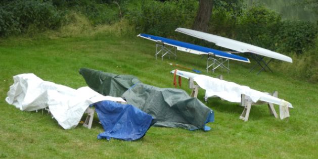 Die Renneiner liegen nach dem Training auf der Wiese